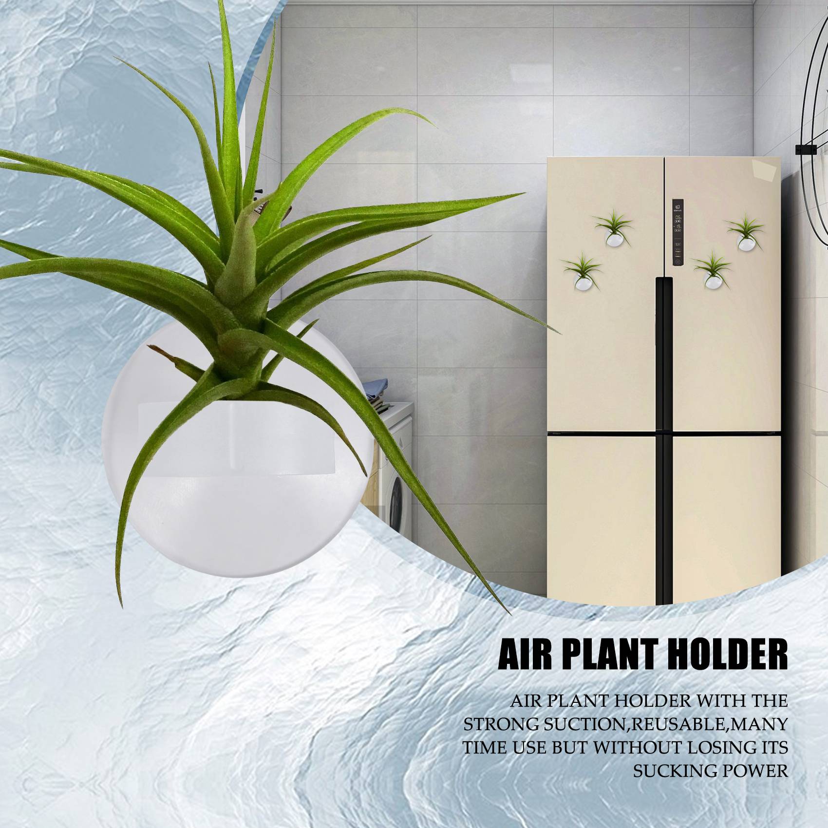 Air Plant Tillandsia - AC76-20 Adet Hava Tesisi Tutucu, Bitki