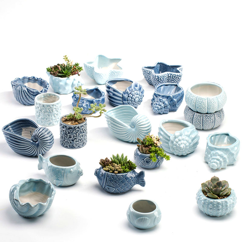 Snake Plant Ceramic - Avrupa Tarzı Sevimli Etli Saksı Pocelain