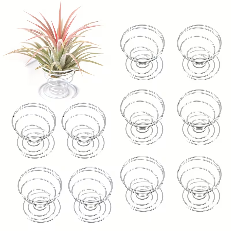 Air Plant Tillandsia - 1/10 adet metal yaylı stand seti,