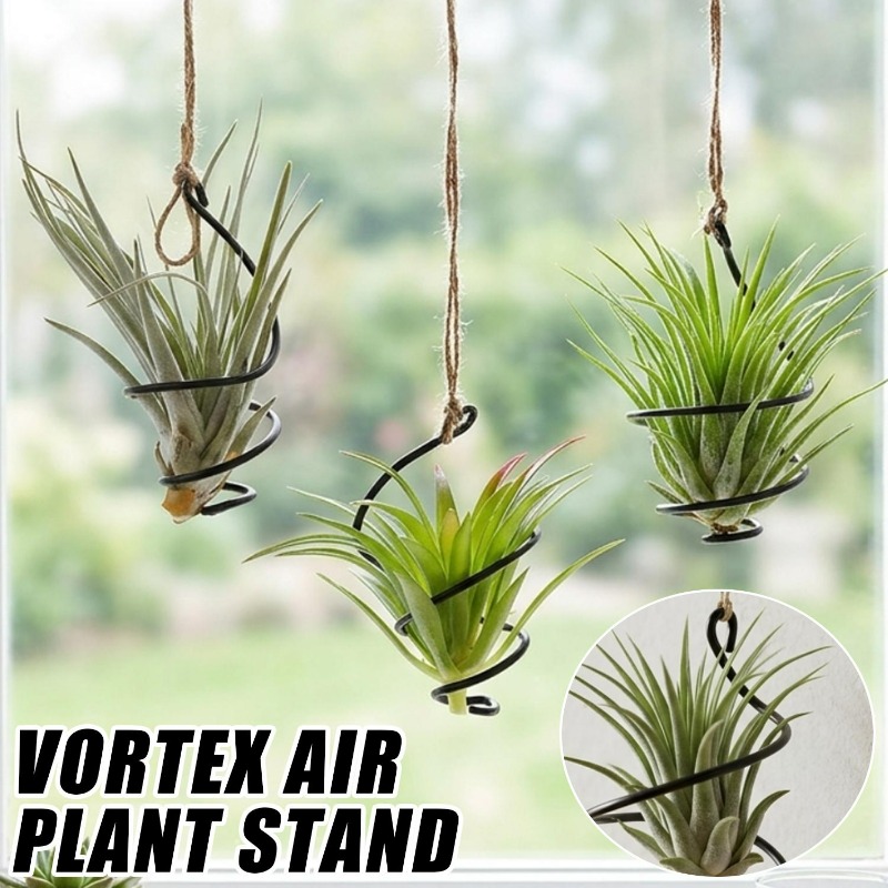 Air Plant Tillandsia - Asılı Hava Bitkisi Tutucularları Jüt Halatlı