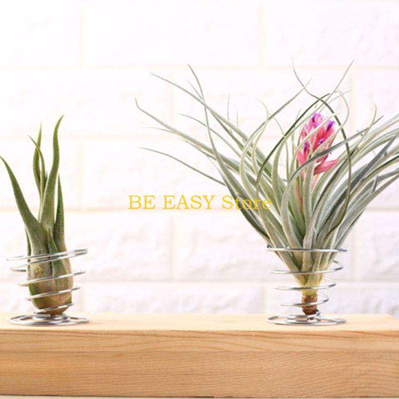 E28F Dekoru için 20 Canlı Trop - Air Plant Tillandsia incelemesi ve fiyatı