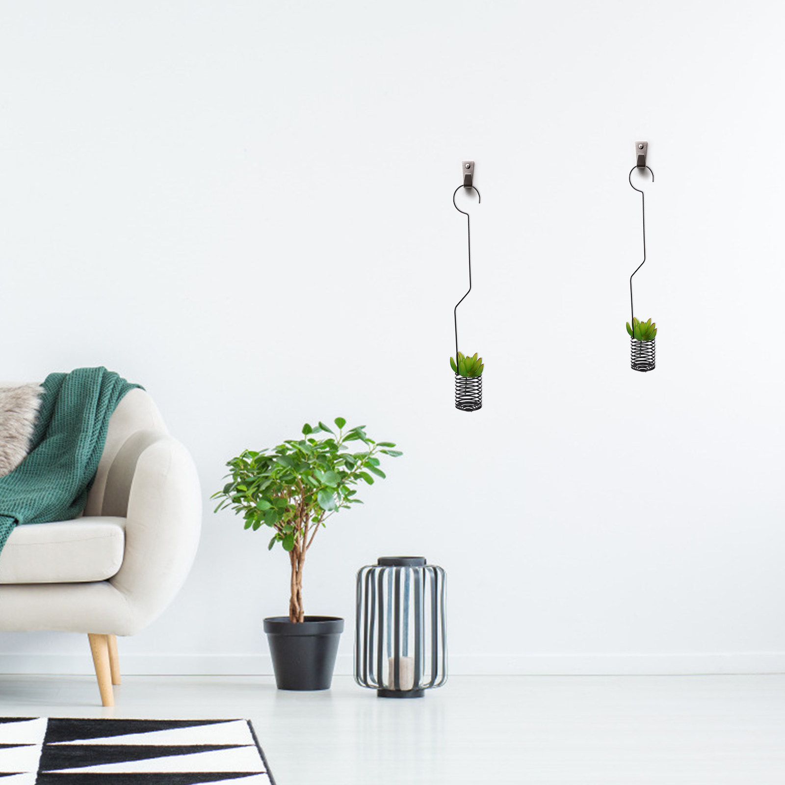 1 adet hava bitkisi tutucu, Ti - Air Plant Tillandsia incelemesi ve fiyatı