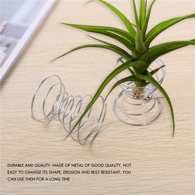 Sıcak Satış-6 Parça Hava Tesis - Air Plant Tillandsia incelemesi ve fiyatı