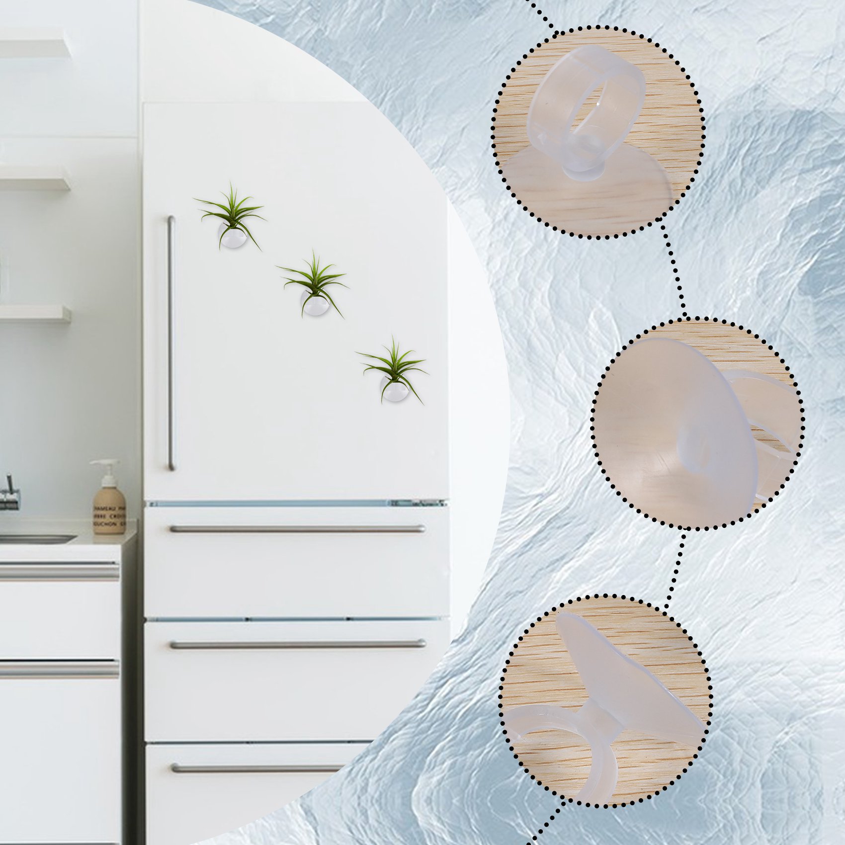 AC76-20 Adet Hava Tesisi Tutuc - Air Plant Tillandsia incelemesi ve fiyatı