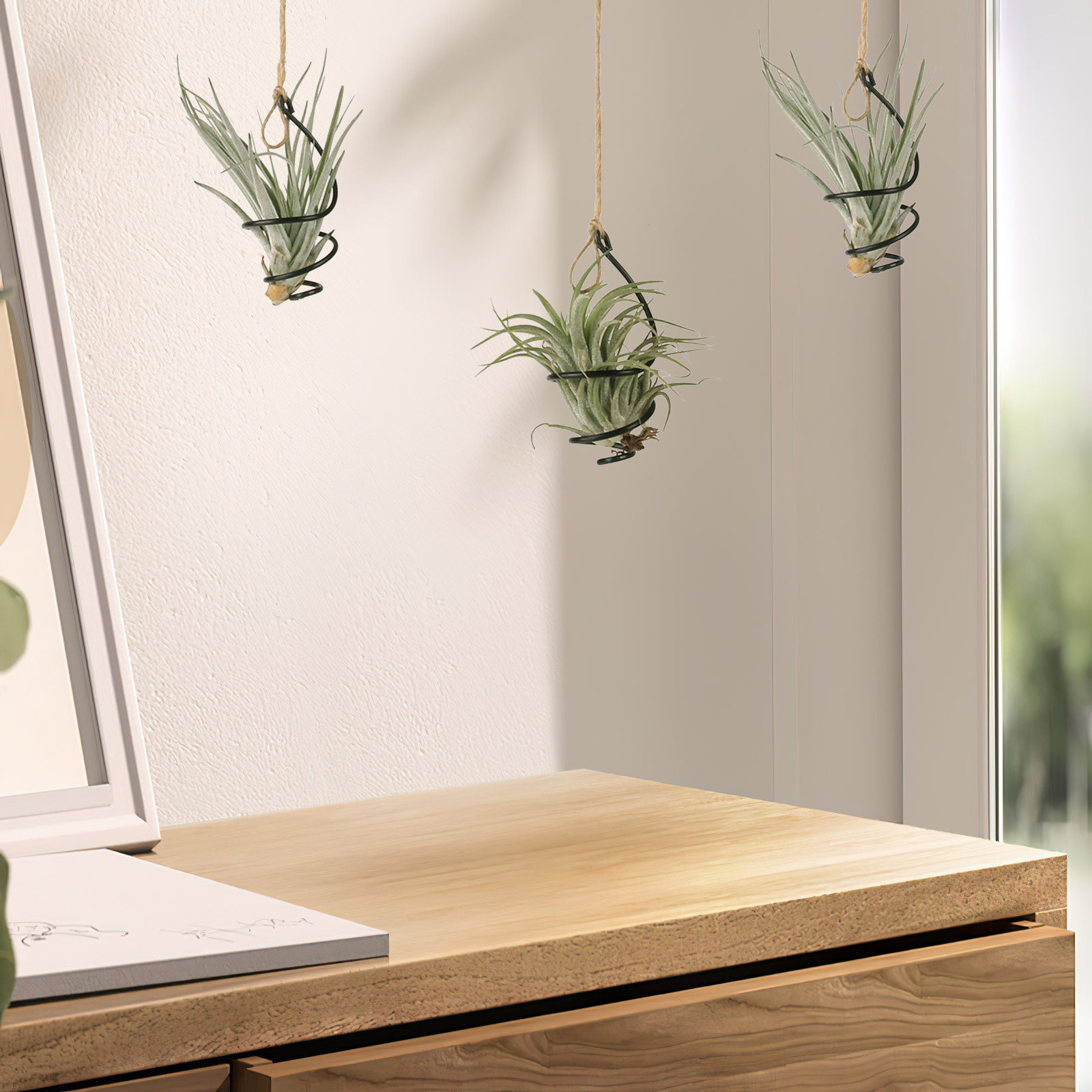 30 Adet Metal Hava Bitkisi Tut - Air Plant Tillandsia incelemesi ve fiyatı