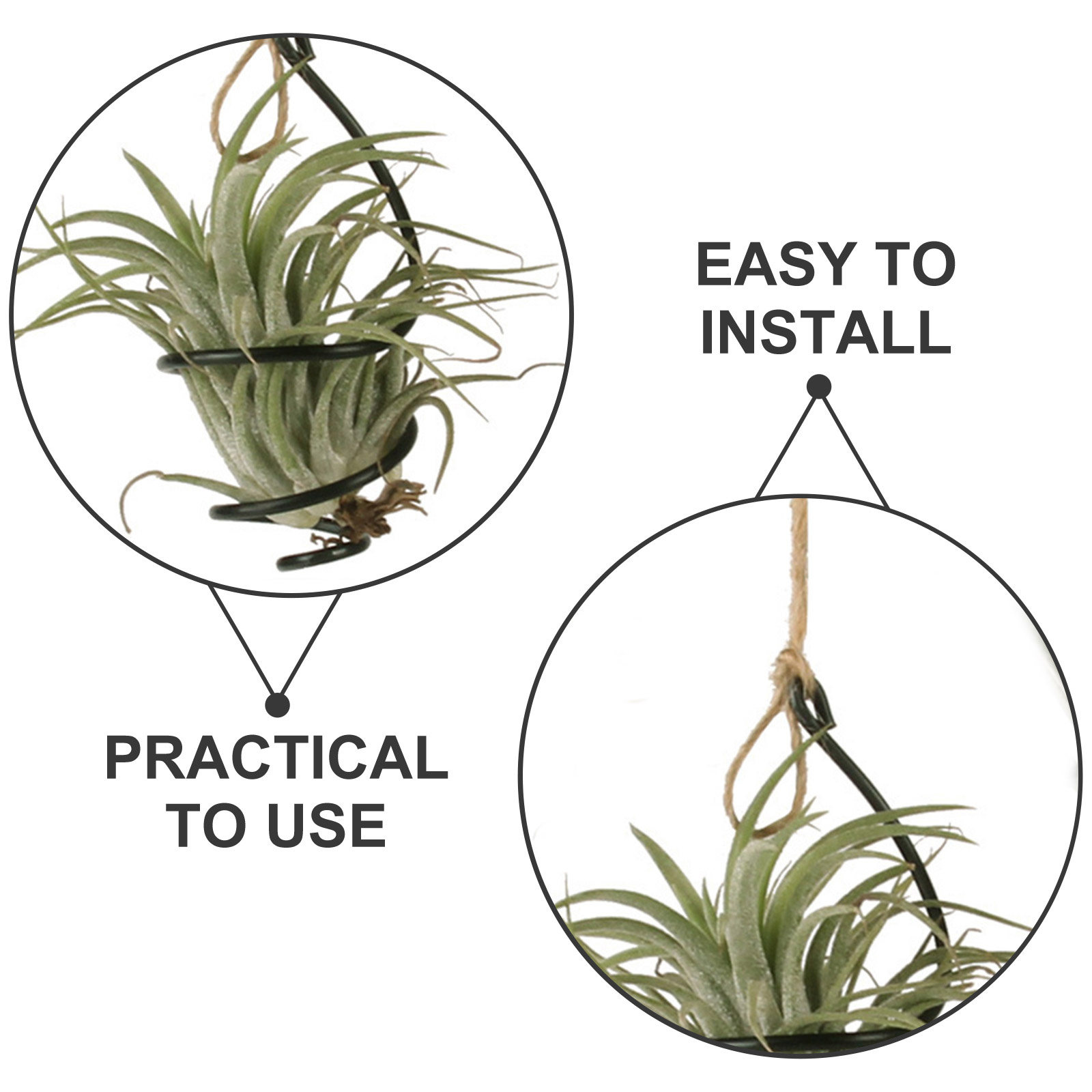 30 Adet Metal Hava Bitkisi Tut - Air Plant Tillandsia incelemesi ve fiyatı