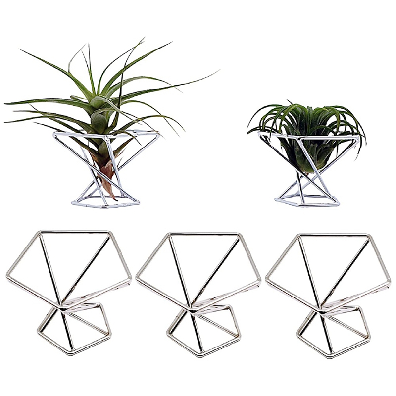 5'li Paket Hava Bitkisi Tutucu - Air Plant Tillandsia incelemesi ve fiyatı