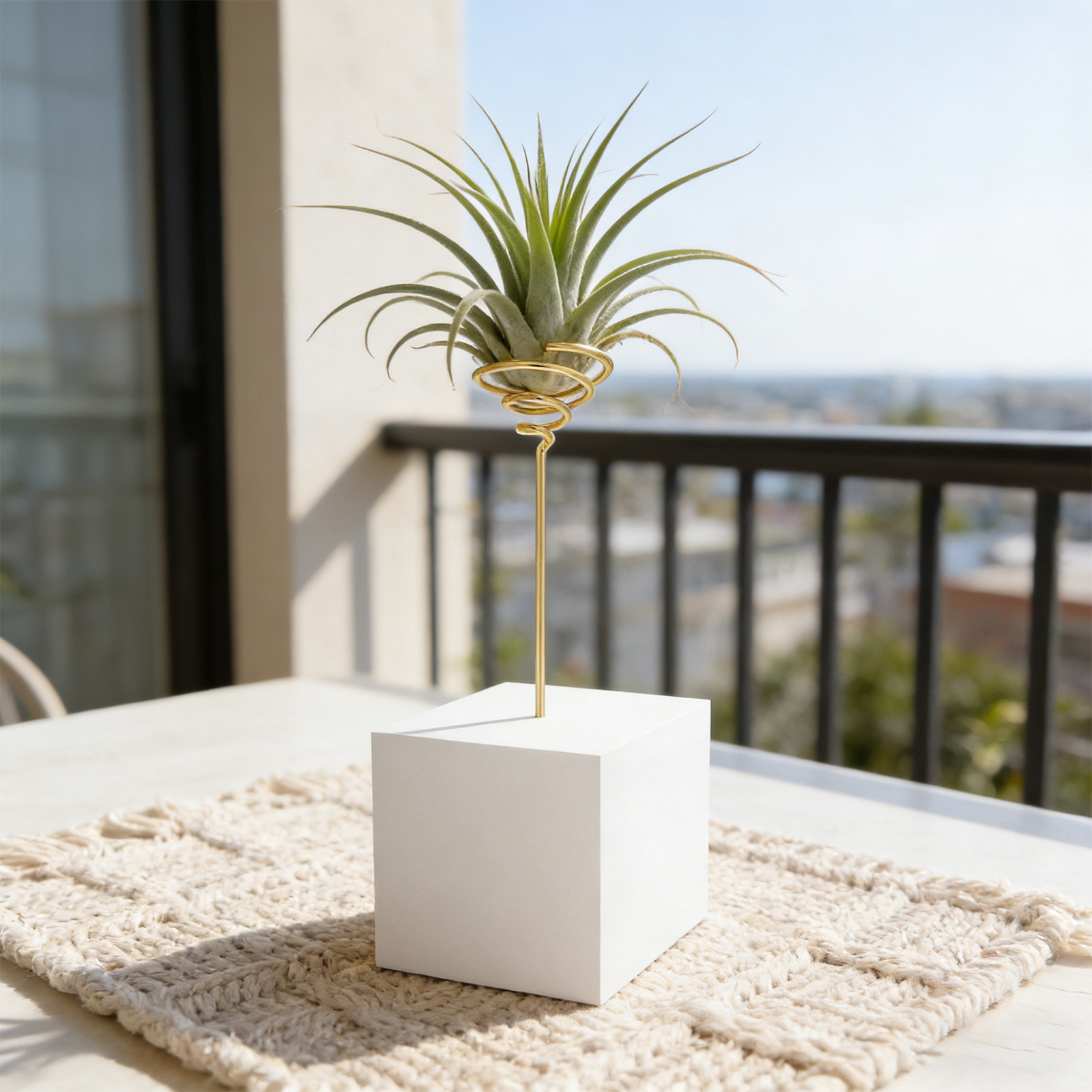 6 Adet Geometrik Desenli, Elek - Air Plant Tillandsia incelemesi ve fiyatı