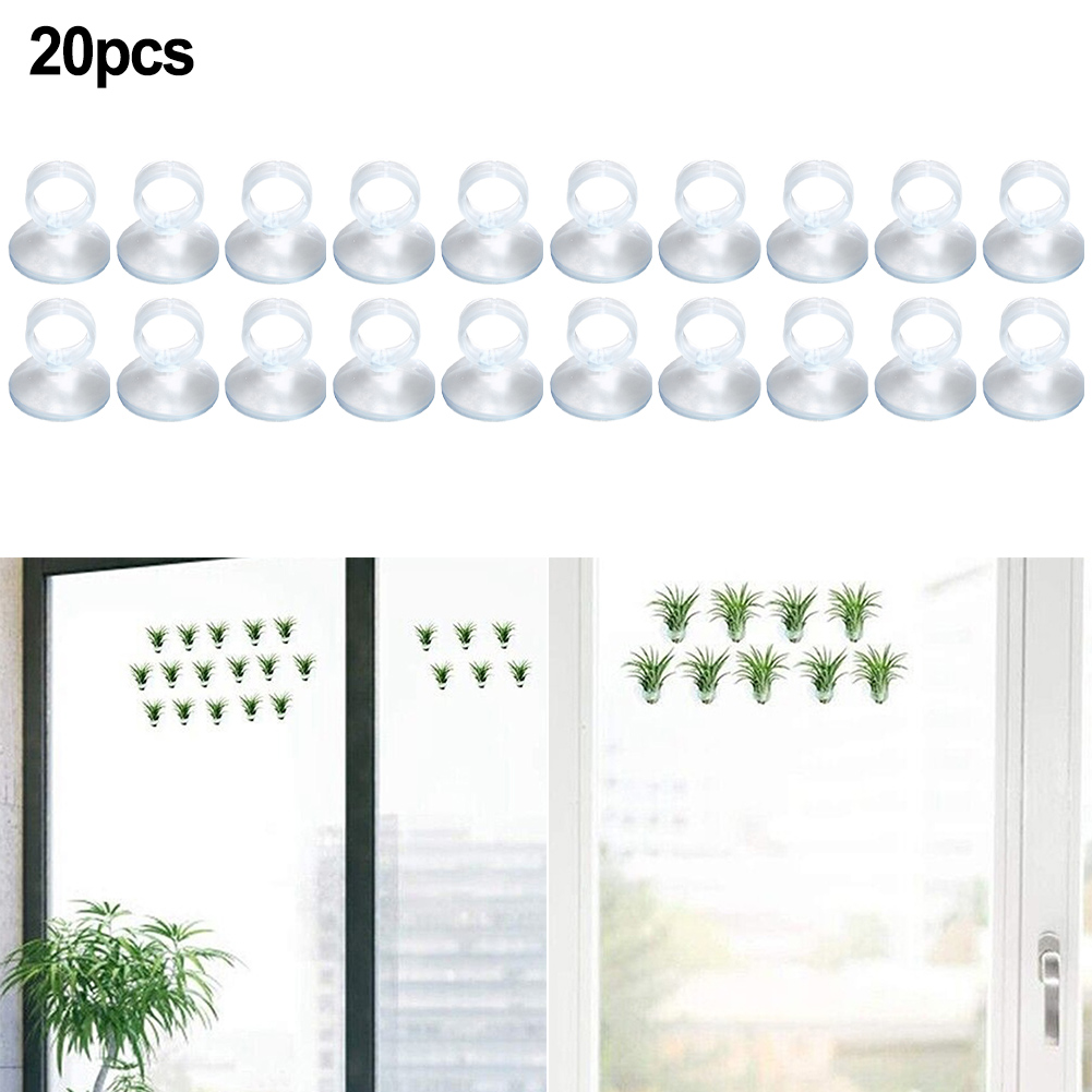 20 Adet Tillandsia için Hava T - Air Plant Tillandsia incelemesi ve fiyatı