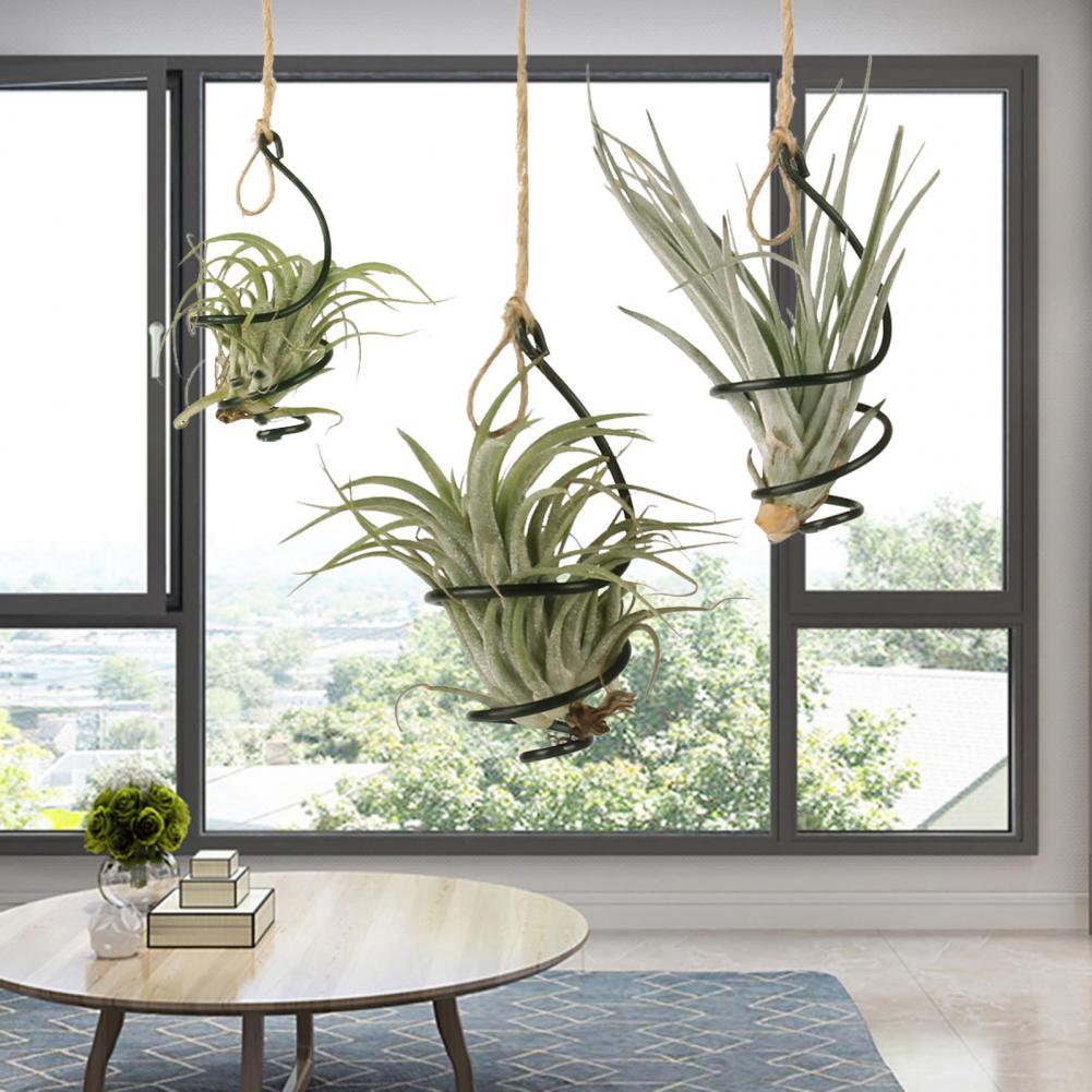 Bitki Standı Metal 6 Adet Meta - Air Plant Tillandsia incelemesi ve fiyatı