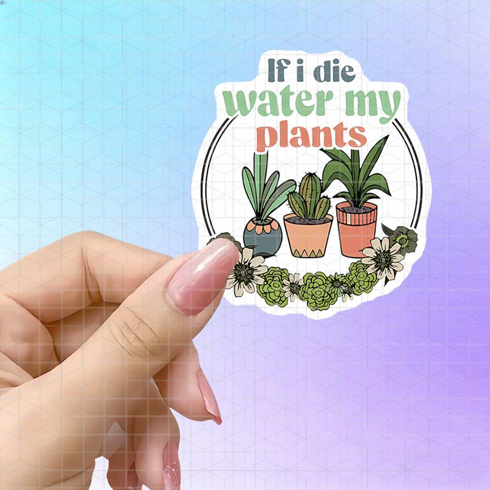 Saksıda Bitkiler, Çiçekli Çele - Plant Parent Free incelemesi ve fiyatı