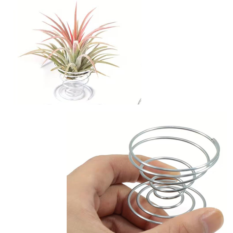 1/10 adet metal yaylı stand se - Air Plant Tillandsia incelemesi ve fiyatı