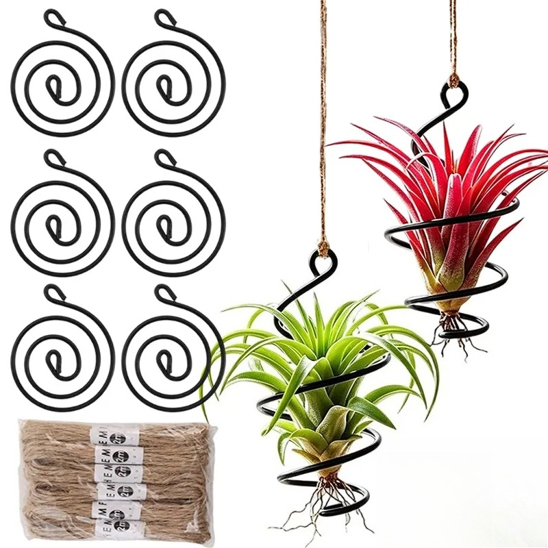 Asılı Hava Bitkisi Tutucularla - Air Plant Tillandsia incelemesi ve fiyatı