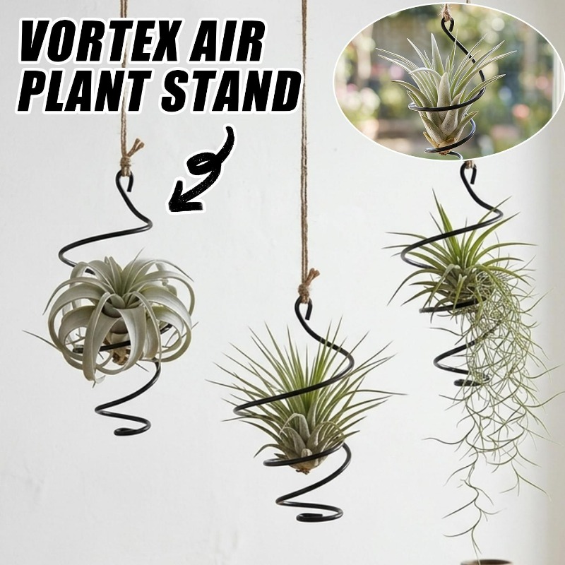 Asılı Hava Bitkisi Tutucularla - Air Plant Tillandsia incelemesi ve fiyatı